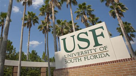 USF image 1