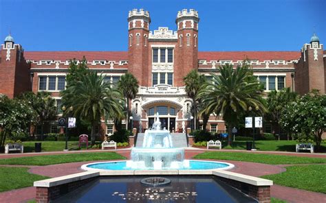 USF image 2