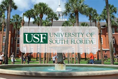 USF image 3